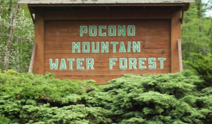 pocono forest mountain water community